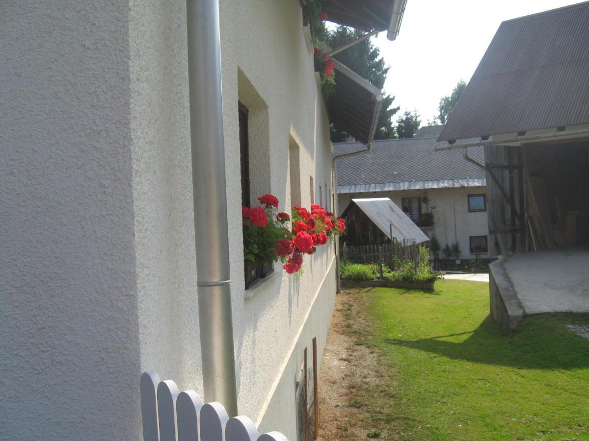 Apartma Tilika Kranjska Gora Esterno foto